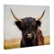 Stupell Industries Black Highland Cow Portrait Canvas Wall Art